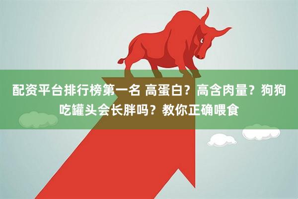 配资平台排行榜第一名 高蛋白？高含肉量？狗狗吃罐头会长胖吗？教你正确喂食