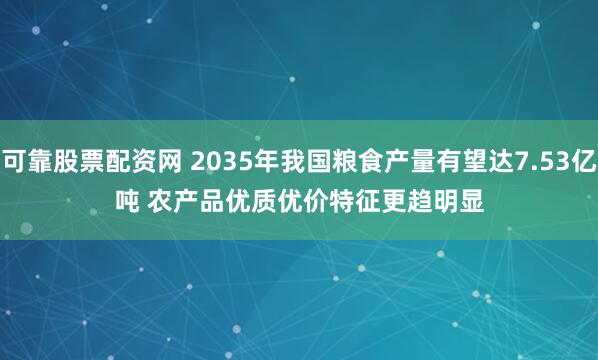 可靠股票配资网 2035年我国粮食产量有望达7.53亿吨 农产品优质优价特征更趋明显