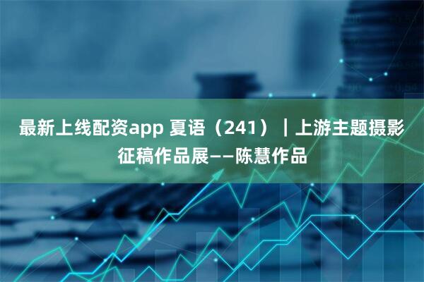 最新上线配资app 夏语（241）｜上游主题摄影征稿作品展——陈慧作品